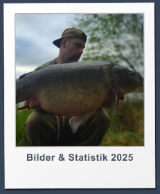 Bilder & Statistik 2025