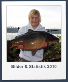 Bilder & Statistik 2010