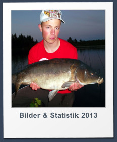 Bilder & Statistik 2013