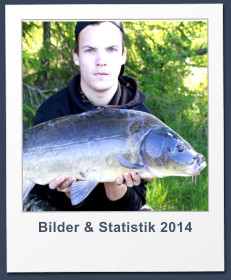 Bilder & Statistik 2014