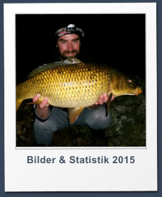 Bilder & Statistik 2015