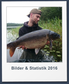 Bilder & Statistik 2016