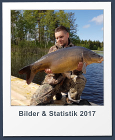 Bilder & Statistik 2017